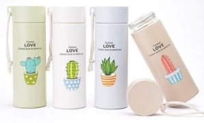 Botol Kaktus Kaca dengan Kombinasi Estetika dan Fungsionalitas